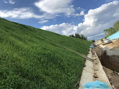 邊坡綠化